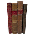 Load image into Gallery viewer, French Antique Marbalized Covers with Red & Brown Leather Binding 1865-1917 - set of 4
