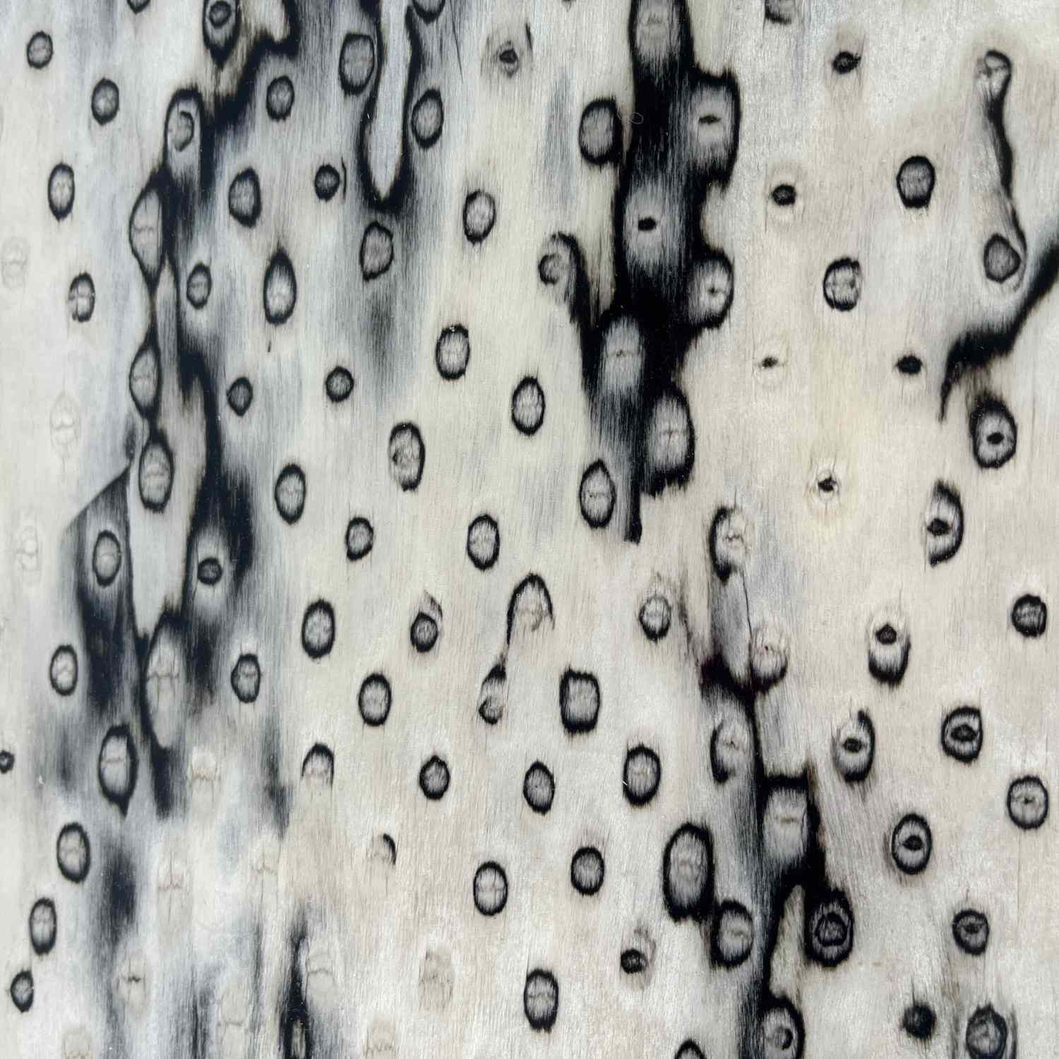 Birdseye Wooden Tray with Handles