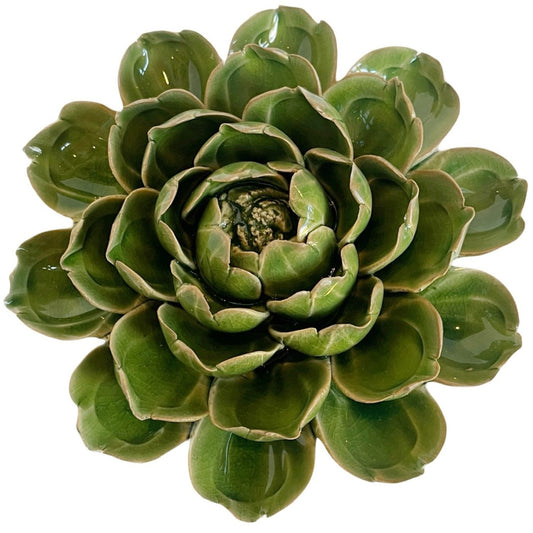 Ceramic Succulent