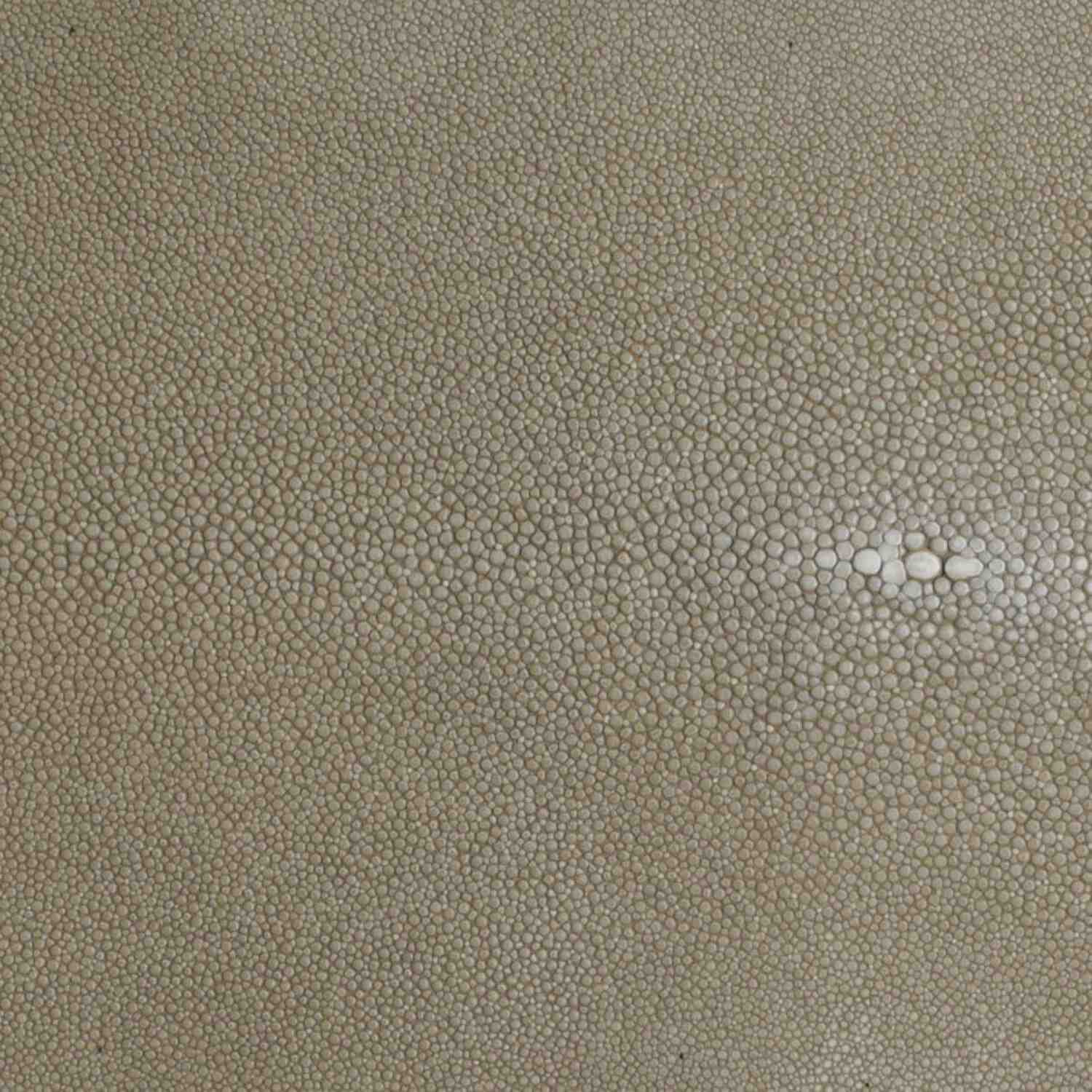 Hand-Forged Pitcher with Genuine Shagreen Handle