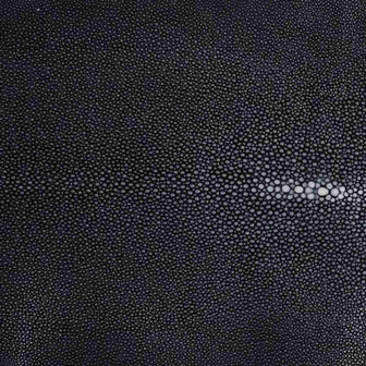 Hand-Forged Rectangle Tray with Genuine Shagreen Handles - Extra Large