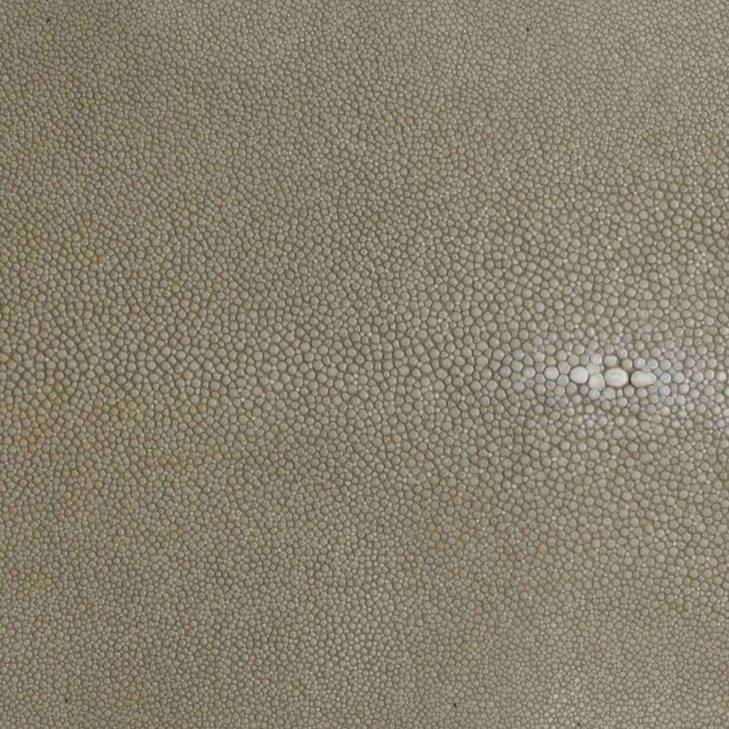 Hand-Forged Drink Bucket with Genuine Shagreen Handles