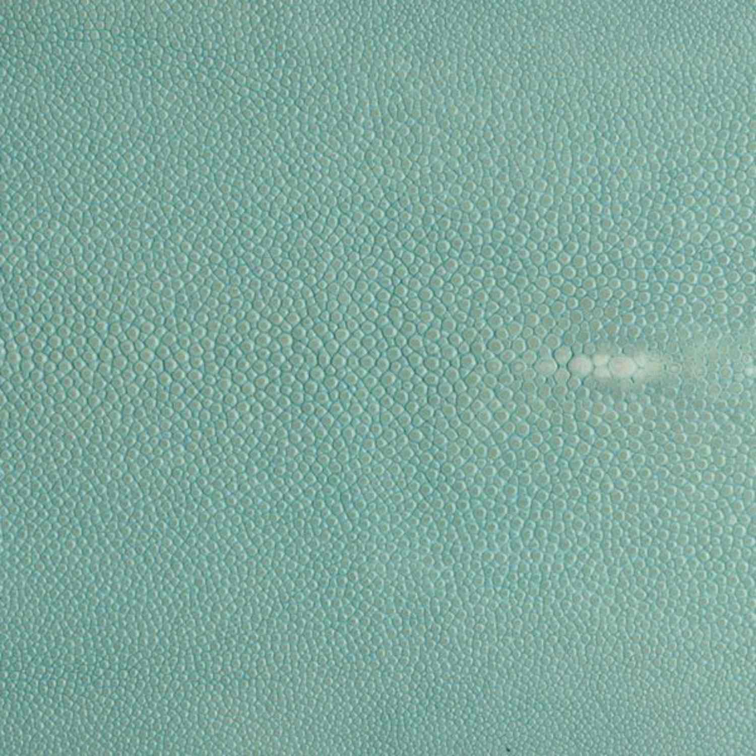 Hand-Forged Rectangle Tray with Genuine Shagreen Handles - Extra Large