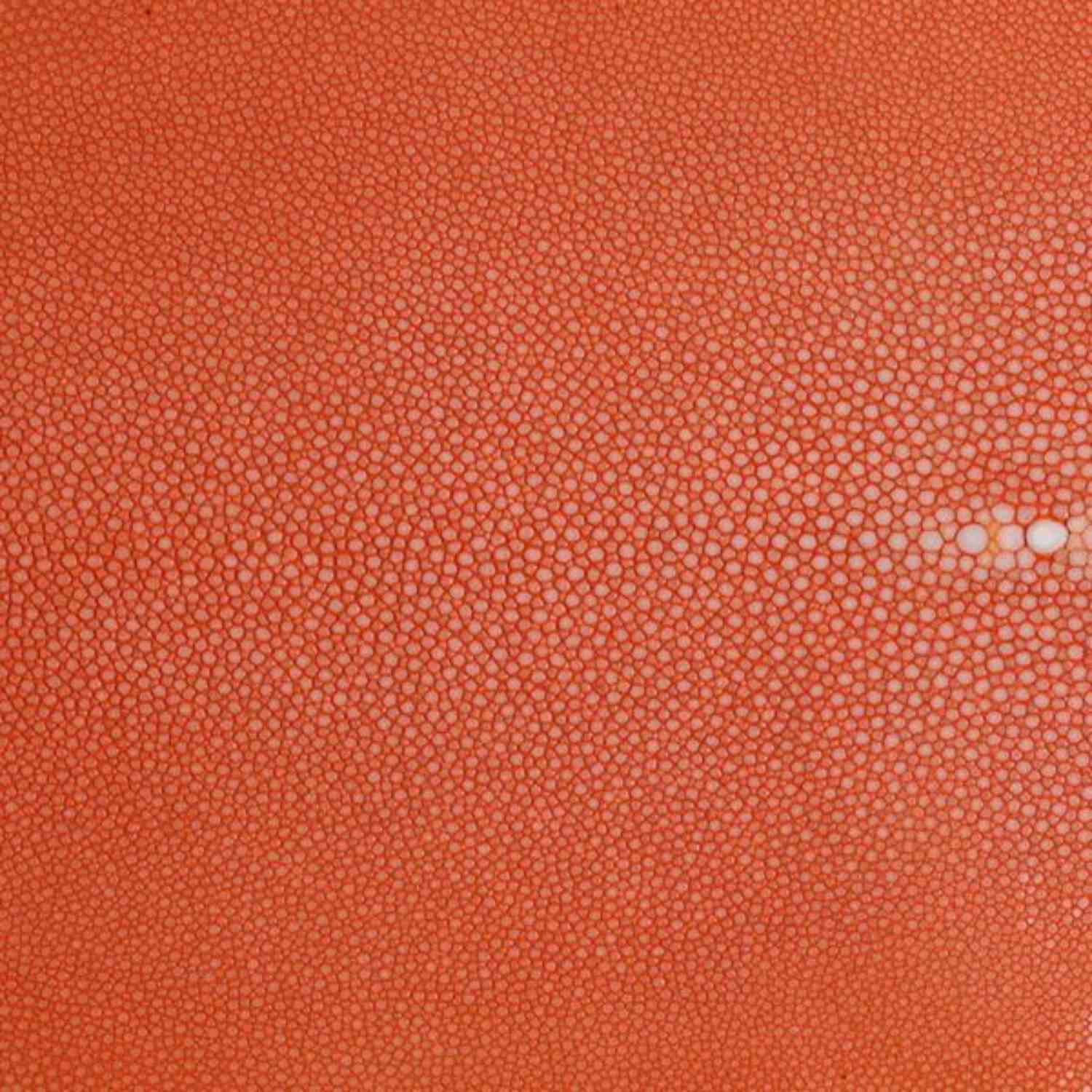 Hand-Forged Rectangle Tray with Genuine Shagreen Handles - Extra Large