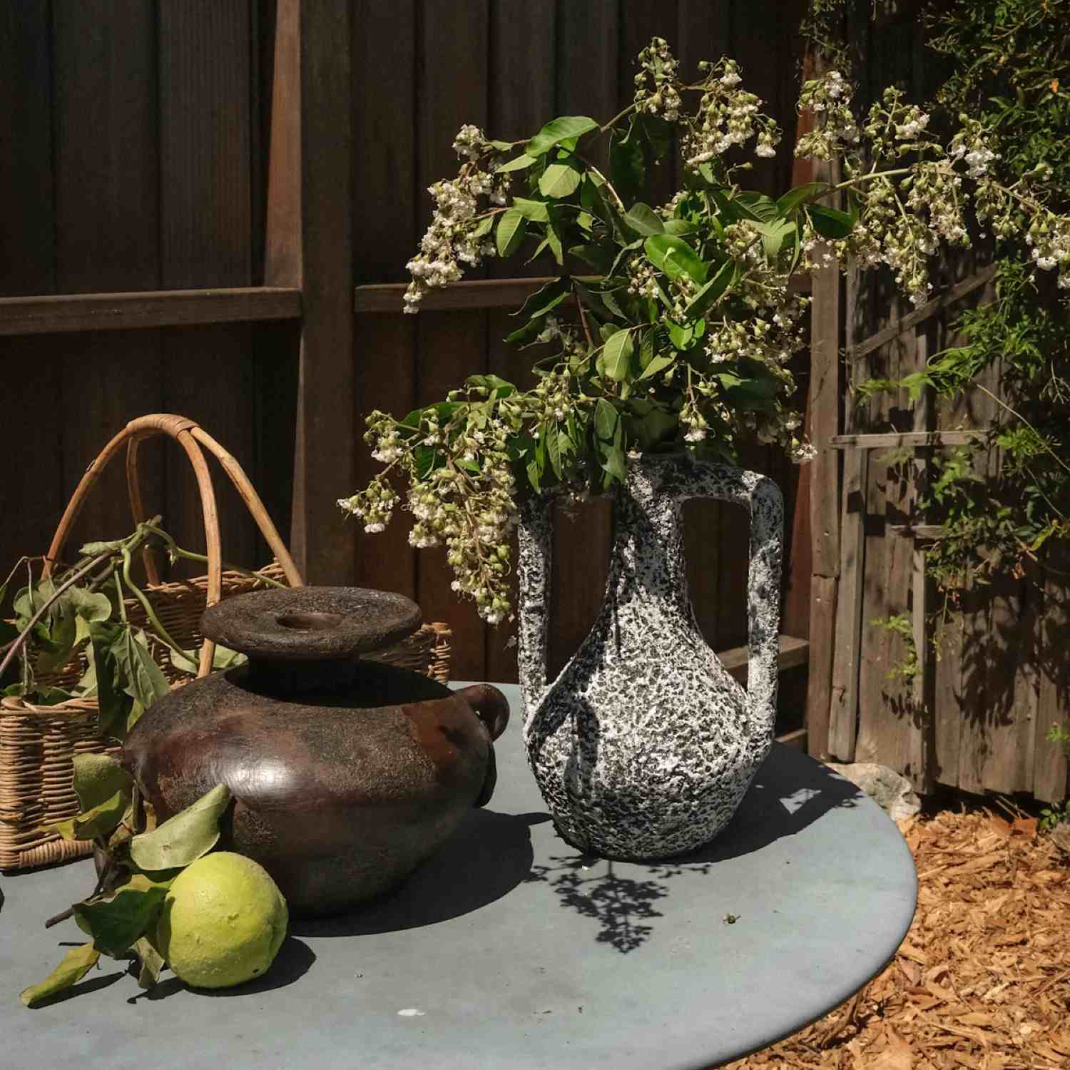 Febi Vessel