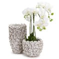 Load image into Gallery viewer, Hydrangea Vase
