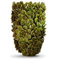 Load image into Gallery viewer, Echeveria Vase
