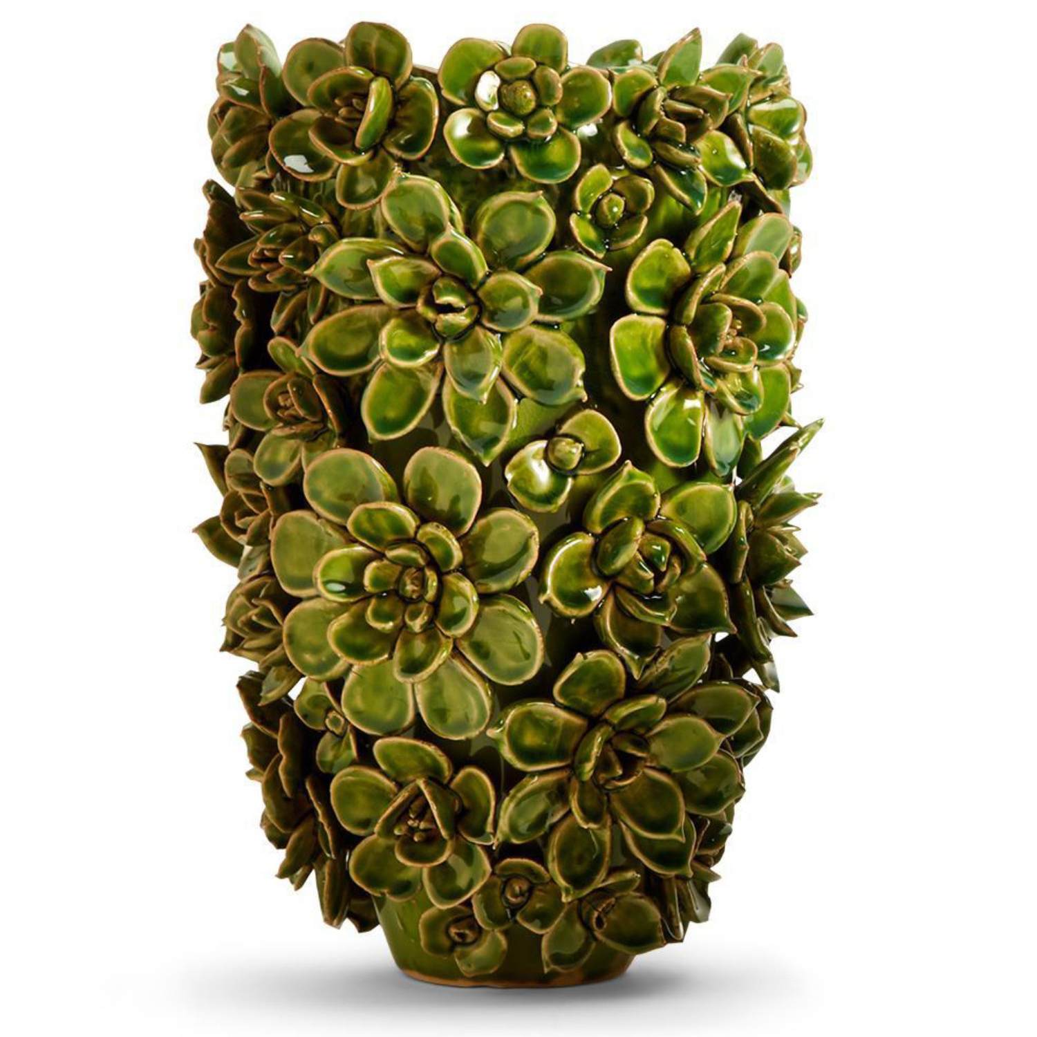 Echeveria Vase