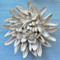 Load image into Gallery viewer, Ceramic Wall Flowers Ivory - Set of 7
