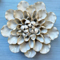 Load image into Gallery viewer, Ceramic Wall Flowers Ivory - Set of 7
