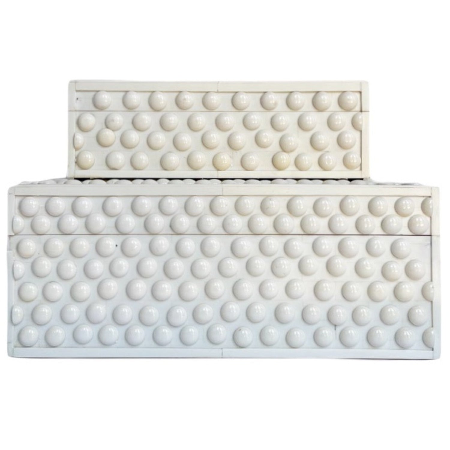 Ivory Button Bone Box