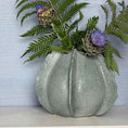 Load image into Gallery viewer, Barnacle Vase
