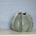 Load image into Gallery viewer, Barnacle Vase
