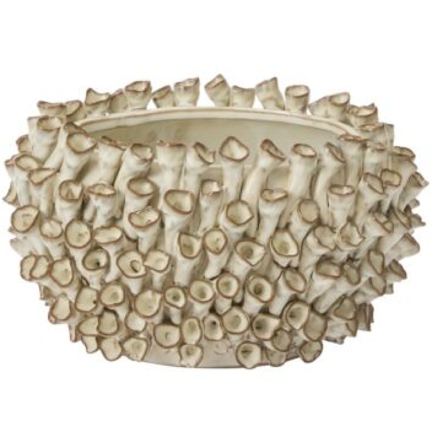 Enoki Pot Oval