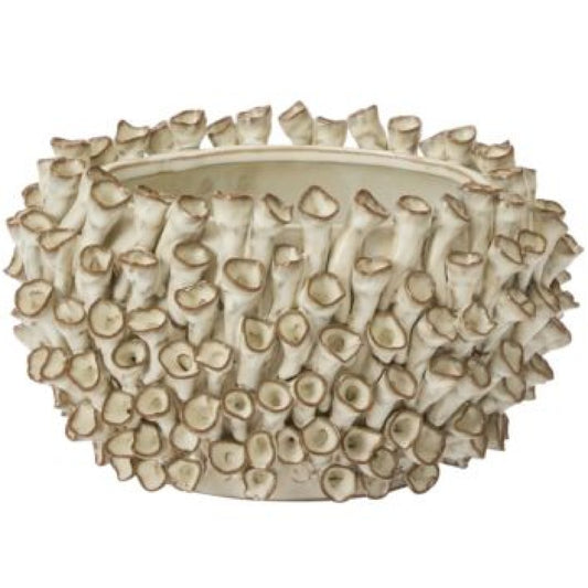 Enoki Pot Oval