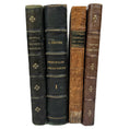 Load image into Gallery viewer, French Antique Novels in Green & Brown 1854-1888 - set of 4
